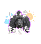 M＆J Vol.1（個別スタンプ：2）