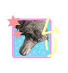 M＆J Vol.1（個別スタンプ：8）