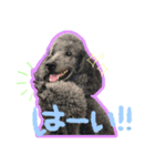 M＆J Vol.1（個別スタンプ：11）