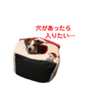 らむぱん☆5（個別スタンプ：6）