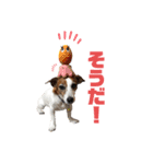 らむぱん☆5（個別スタンプ：9）