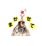らむぱん☆5（個別スタンプ：14）
