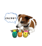 らむぱん☆5（個別スタンプ：15）