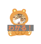 ♡てぃーたん先生♡（個別スタンプ：7）