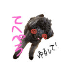 犬の気持ち╰( U ・ᴥ・)m（個別スタンプ：1）