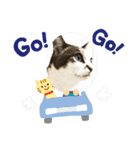 chiro09（個別スタンプ：4）