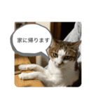 chiro09（個別スタンプ：15）