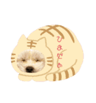 うちのやよちゃん♂（個別スタンプ：15）