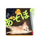 Muroator（個別スタンプ：1）