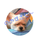 Muroator（個別スタンプ：2）