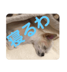 Muroator（個別スタンプ：5）