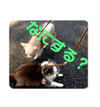 Muroator（個別スタンプ：6）