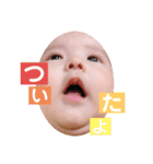 れおら 4（個別スタンプ：8）