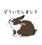 大きなウサギの日常会話スタンプ（個別スタンプ：2）