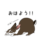 大きなウサギの日常会話スタンプ（個別スタンプ：3）