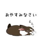 大きなウサギの日常会話スタンプ（個別スタンプ：4）