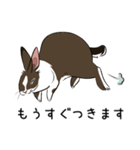 大きなウサギの日常会話スタンプ（個別スタンプ：6）