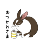 大きなウサギの日常会話スタンプ（個別スタンプ：8）