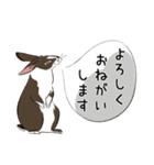 大きなウサギの日常会話スタンプ（個別スタンプ：11）