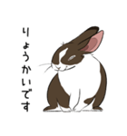 大きなウサギの日常会話スタンプ（個別スタンプ：12）
