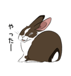 大きなウサギの日常会話スタンプ（個別スタンプ：15）