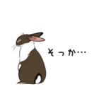 大きなウサギの日常会話スタンプ（個別スタンプ：17）