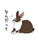 大きなウサギの日常会話スタンプ（個別スタンプ：19）
