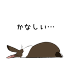 大きなウサギの日常会話スタンプ（個別スタンプ：20）