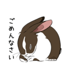 大きなウサギの日常会話スタンプ（個別スタンプ：21）
