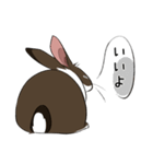 大きなウサギの日常会話スタンプ（個別スタンプ：22）