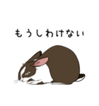 大きなウサギの日常会話スタンプ（個別スタンプ：23）