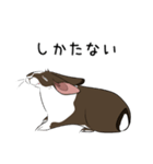 大きなウサギの日常会話スタンプ（個別スタンプ：24）