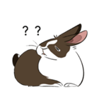 大きなウサギの日常会話スタンプ（個別スタンプ：26）