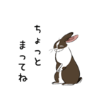 大きなウサギの日常会話スタンプ（個別スタンプ：30）