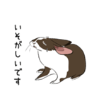 大きなウサギの日常会話スタンプ（個別スタンプ：32）