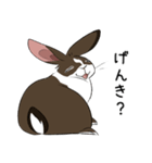 大きなウサギの日常会話スタンプ（個別スタンプ：33）