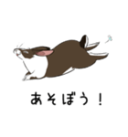 大きなウサギの日常会話スタンプ（個別スタンプ：34）