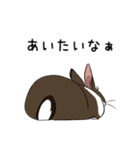大きなウサギの日常会話スタンプ（個別スタンプ：35）
