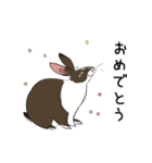 大きなウサギの日常会話スタンプ（個別スタンプ：38）