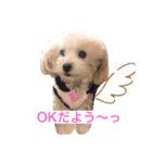 ラブちゃんスタンプ❤️（個別スタンプ：4）