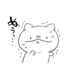ネコカウンセラー（個別スタンプ：17）