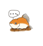 金魚りっちー（個別スタンプ：1）
