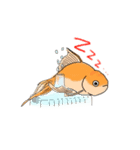 金魚りっちー（個別スタンプ：2）
