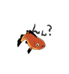 金魚りっちー（個別スタンプ：8）