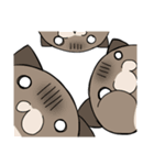 シイタケ猫スタンプ（個別スタンプ：12）