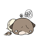 シイタケ猫スタンプ（個別スタンプ：20）
