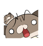 シイタケ猫スタンプ（個別スタンプ：31）