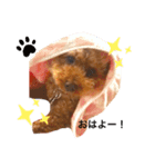 JOYくんスタンプ（個別スタンプ：2）