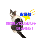 つかさの気持ち（個別スタンプ：8）