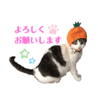 つかさの気持ち（個別スタンプ：12）